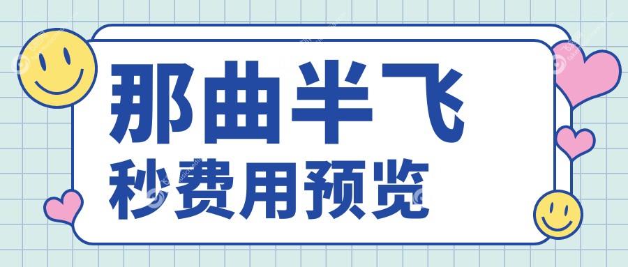 那曲半飞秒费用预览