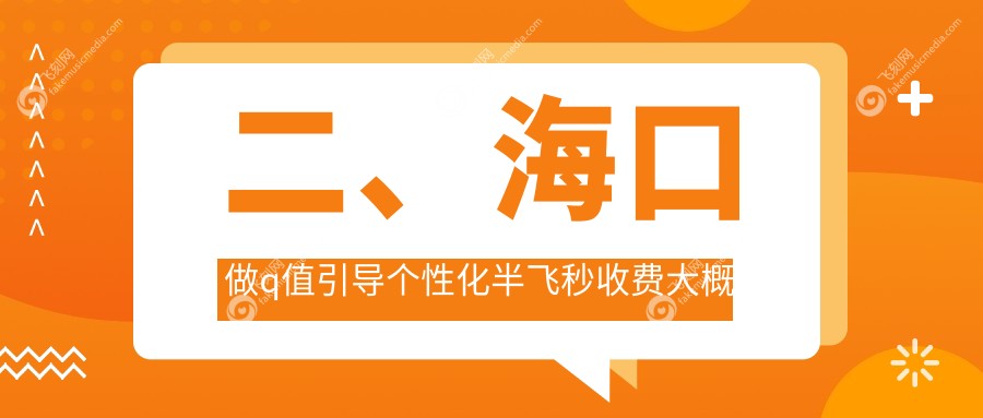 二、海口做q值引导个性化半飞秒收费大概是多少钱？康伟17099/15588/18988