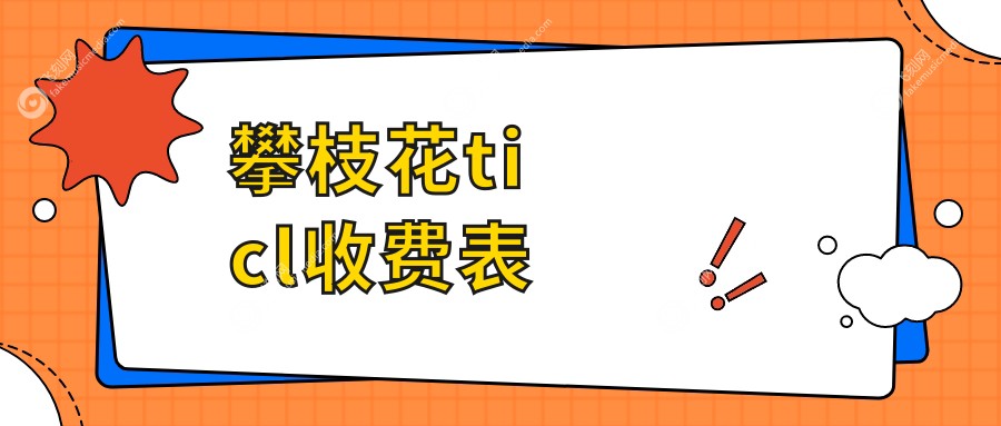 攀枝花ticl收费表