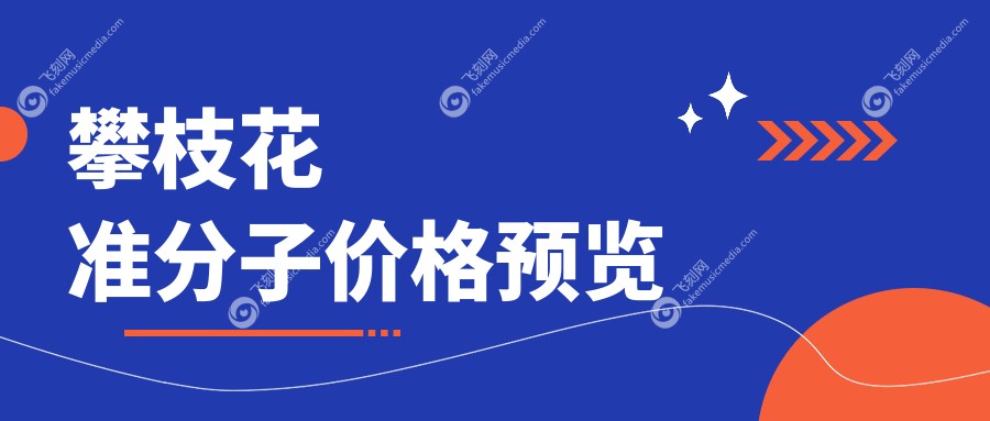 攀枝花准分子价格预览