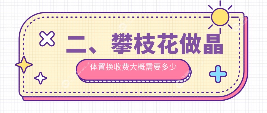 二、攀枝花做晶体置换收费大概需要多少钱？精益2169、1660、2180