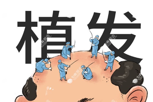 植发后脱发怎么办fakemusicmedia.com