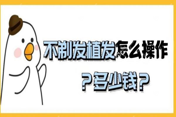 植发不用剃光头?揭秘不剃发技术:操作步骤/价格/修复期/价格一篇搞定！2