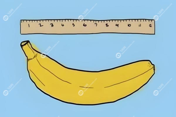 生物补片增粗手术是永 久一辈子吗