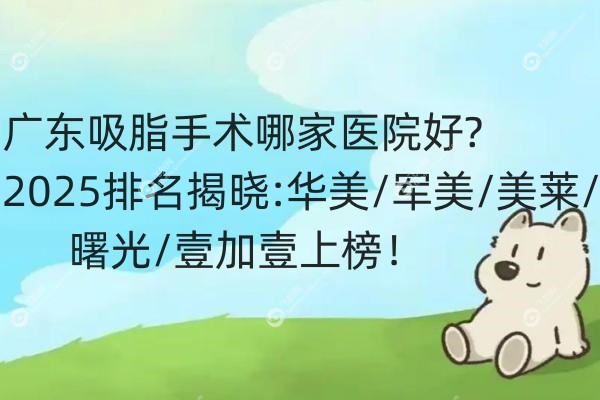 广东吸脂手术哪家医院好.jpg