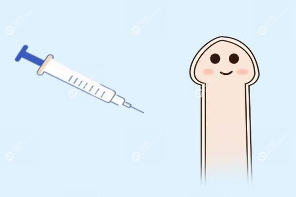 生物补片增粗能维持多长时间