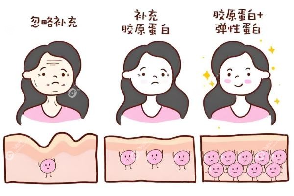 madm胶原蛋白是什么材料?小猪真皮材料更安心,械三认证,一支1.5w元起!