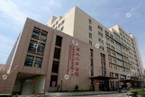 上 海九 院.jpg