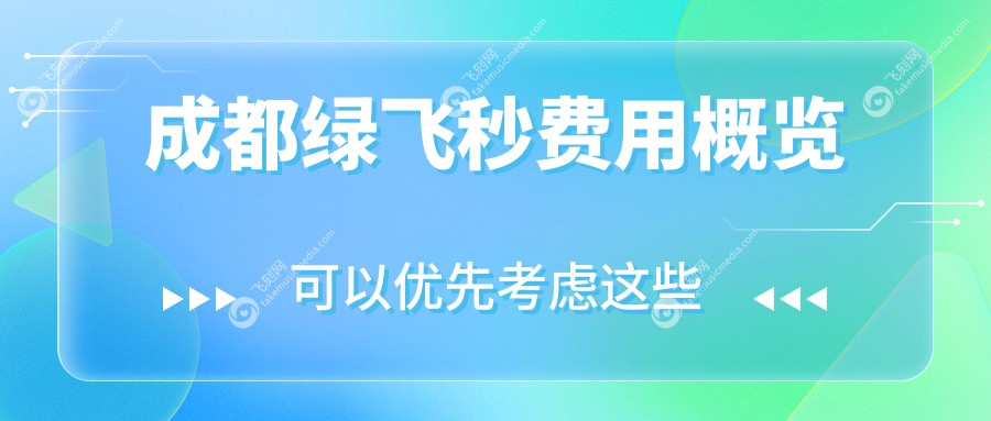 成都绿飞秒费用概览