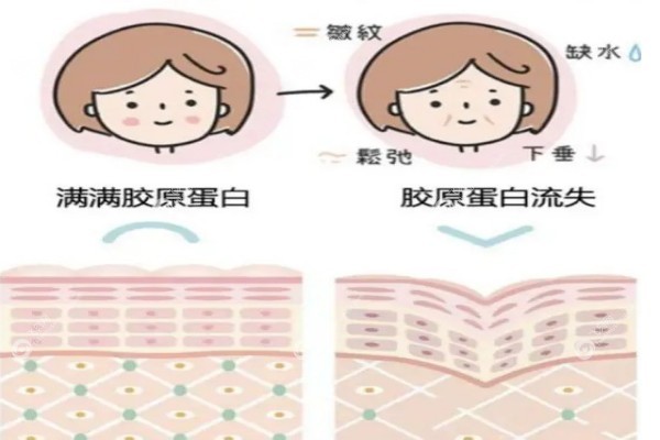丝美妮胶原蛋白多少钱1.jpg
