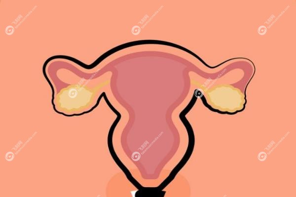 女性私密整形线上咨 询.jpg