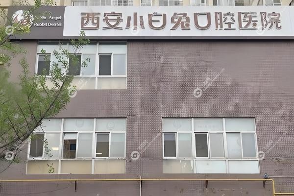 宝鸡小白兔口腔.jpg