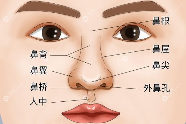 鼻子打针好还是隆鼻好.jpg