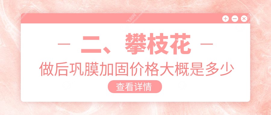 二、攀枝花做后巩膜加固价格大概是多少钱？精益5069