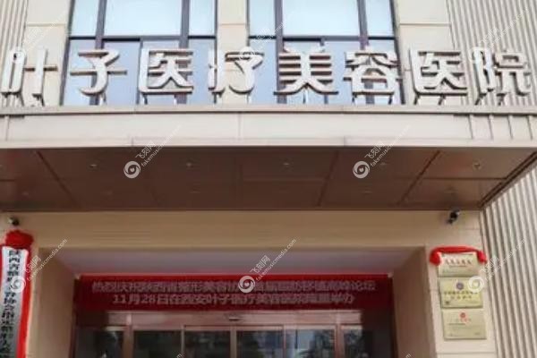 西安叶子医疗美容医院.jpg