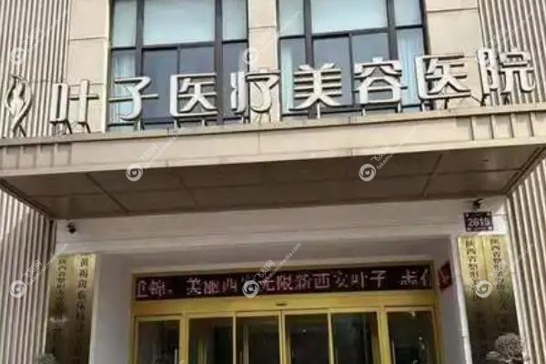 西安叶子医疗美容医院.jpg