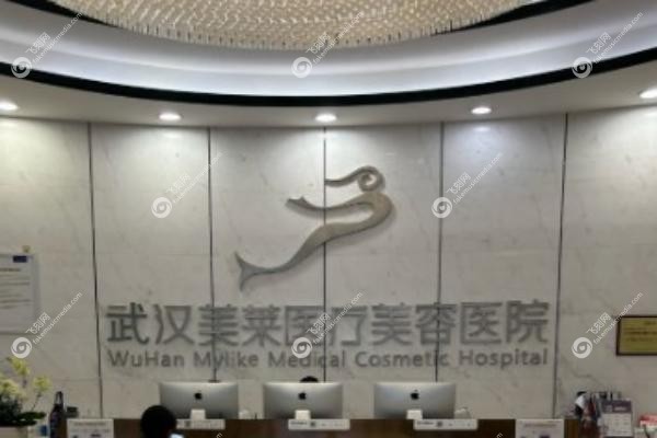 武汉美莱医疗整形美容医院.jpg