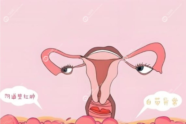 3d生物束带紧缩术好吗.jpg