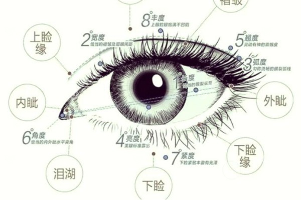 谭敏峰双眼皮真有那么美吗.jpg