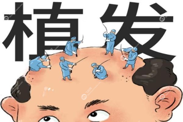 雍禾二次种植案 例