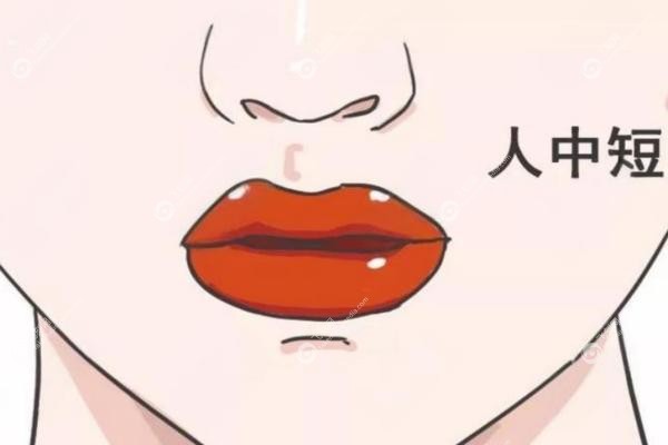 北京人中缩短选王晓健还是张曼好？王晓健自然vs张曼保守，技术风格全对比