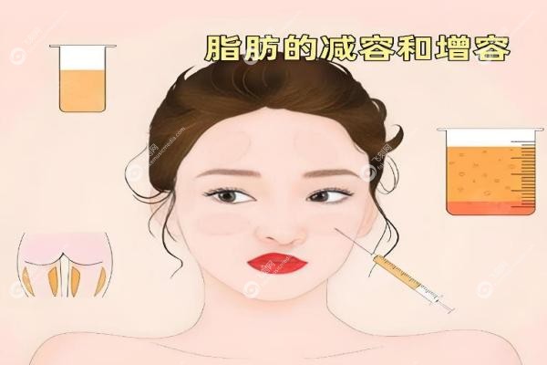 王阔远和李方奇减容谁厉 害？王阔远自然派 vs 李方奇综合派，谁更适合你？3