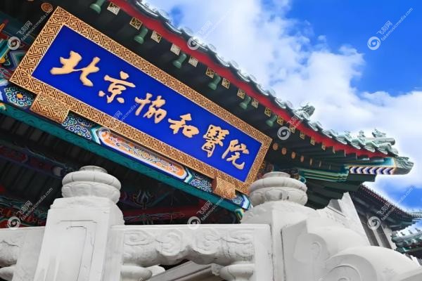 北京协和李莹出诊信息：坐诊时间+挂号预约指南(北京茗视光眼科坐诊)