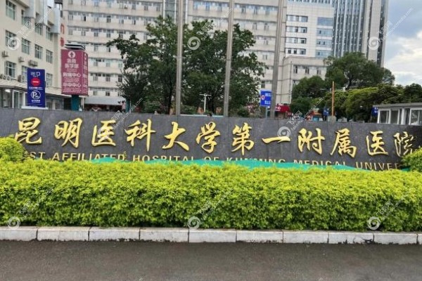 昆明医科大学<span style=