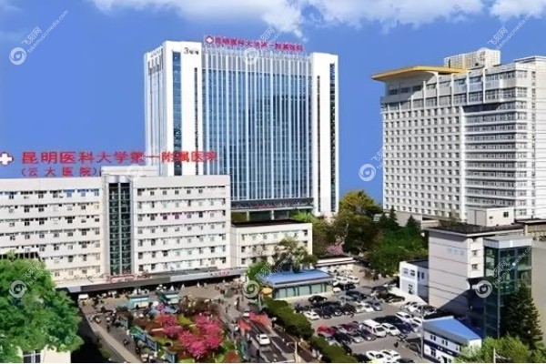 昆明医科大学<span style=