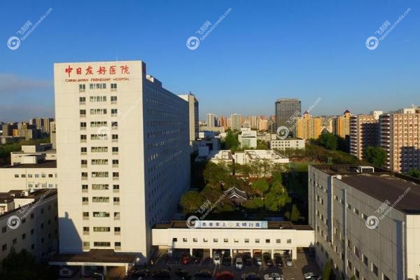 北京中日友好医院眼科挂号预约就诊全指南：从挂号到选专 家一篇够！