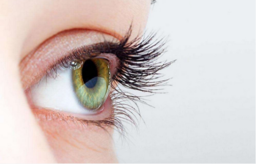 二、眼科就诊时间相关www.fakemusicmedia.com/