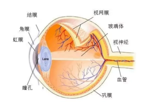 郑州麦迪格眼科诊所是正规的吗？资质齐全，排名靠前技术优患者反馈佳证实正规！ 
