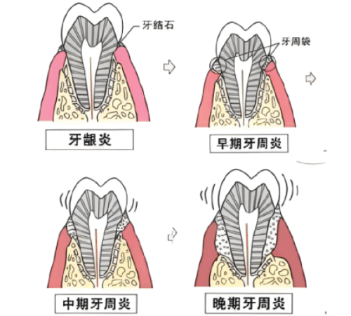 二、如何预约XX医美医院？