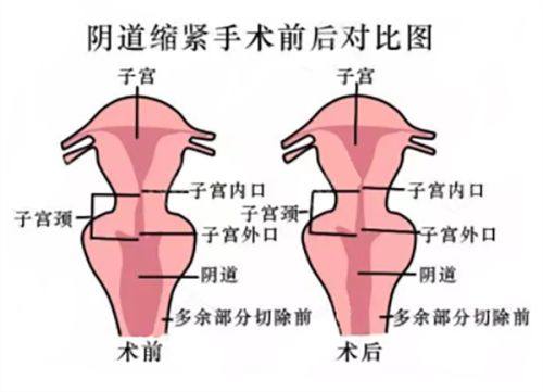 一、湖南省医美医院更厉害的三个医生：技术不错，经验多
