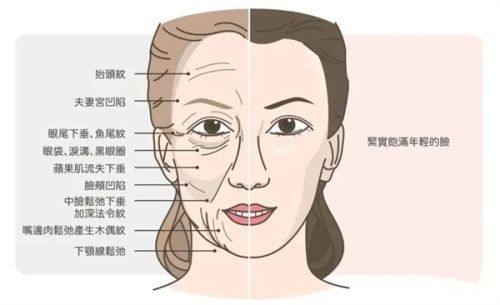 三、如何预约北京蒂凡妮医疗美容门诊部？