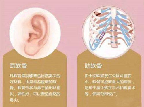 一、北京蒂凡妮医疗美容门诊部地址在哪里？