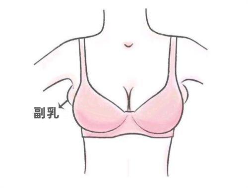 二、北京丽合医疗美容医院鼻整形真实实例分享：她们的选择值得借鉴www.fakemusicmedia.com/