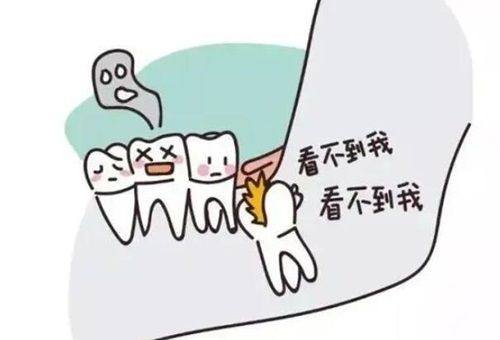 二、遵义数字化种牙价格透明吗