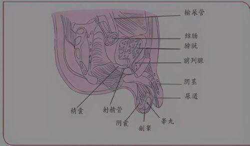 广州军美医疗美容医院正规吗；医生团队技术精湛项目多样口碑值得信赖；  
广州军美医疗美容医院正规吗；专注个性化美丽定制效果自然收费透明合理；  
广州军美医疗美容医院正规吗；特色项目优势显著医生经验丰富深受求美者好评；  
广州军美医疗美容医院正规吗；专业资质认证齐全高端设备助力安全变美；  
广州军美医疗美容医院正规吗；真实案例反馈优质服务贴心打造满意蜕变；  
广州军美医疗美容医院正规吗；多年品牌沉淀技术领先成就安心美丽之旅；  
广州军美医疗美容医院正规吗；精准美学设计科学方案实现理想颜值提升；  