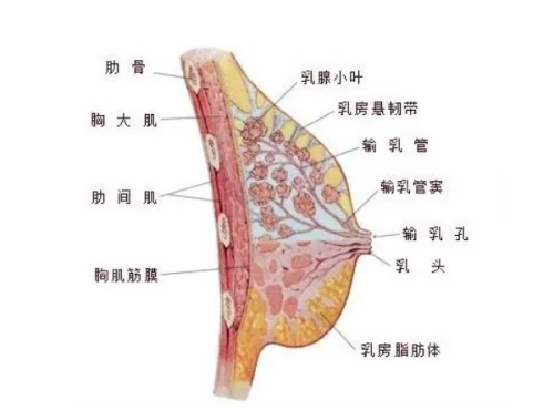 二、西安艺星医疗美容医院预约方式有哪些？在线预约方便快捷省时省力www.fakemusicmedia.com/