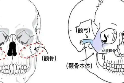 二、重庆艺星医疗美容医院怎么样?真实实例分享,感受蜕变魅力www.fakemusicmedia.com/