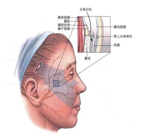 二、重庆军科医院整形外科实力如何?www.fakemusicmedia.com/
