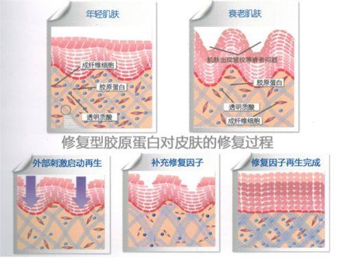 二、重庆军美医疗美容医院预约挂号流程详细介绍www.fakemusicmedia.com/
